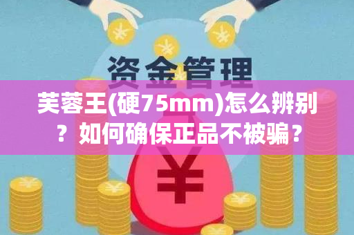 芙蓉王(硬75mm)怎么辨别？如何确保正品不被骗？